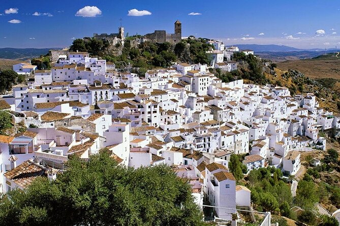 Malaga Airport Transfers : Malaga Airport AGP to Malaga City in Luxury Van - Pricing