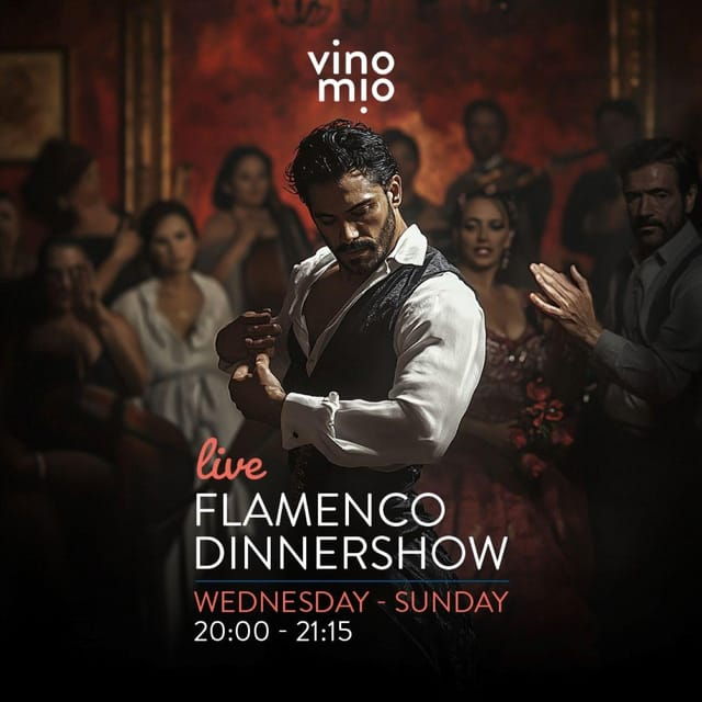 Malaga: Authentic Flamenco Dinner Show at Vino Mio - Good To Know