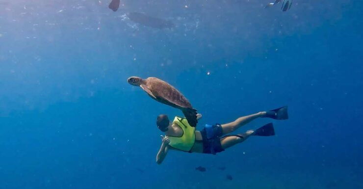 Málaga: Boat Tour W/ Snorkeling, Water Activities, and Lunch - Tour Overview