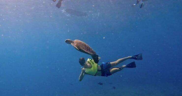 Málaga: Boat Tour W/ Snorkeling, Water Activities, and Lunch - Activity Details