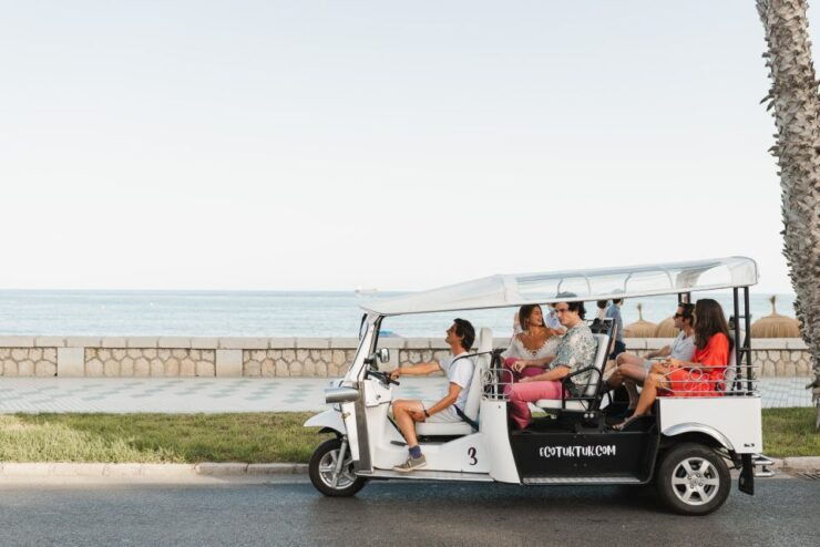 Malaga: City Tour by Private Eco Tuk Tuk - Booking Details