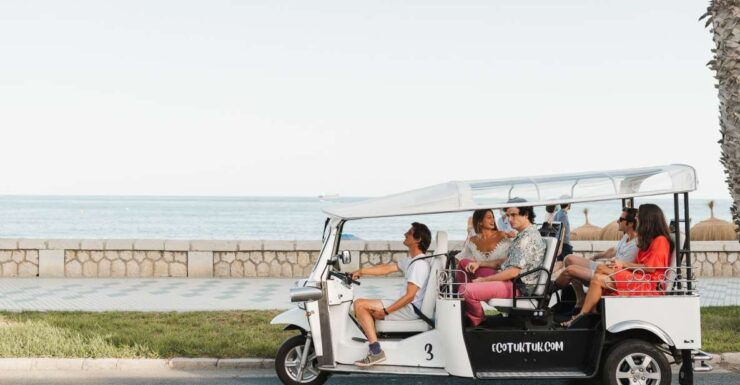 Malaga: City Tour by Private Eco Tuk Tuk - Tour Highlights