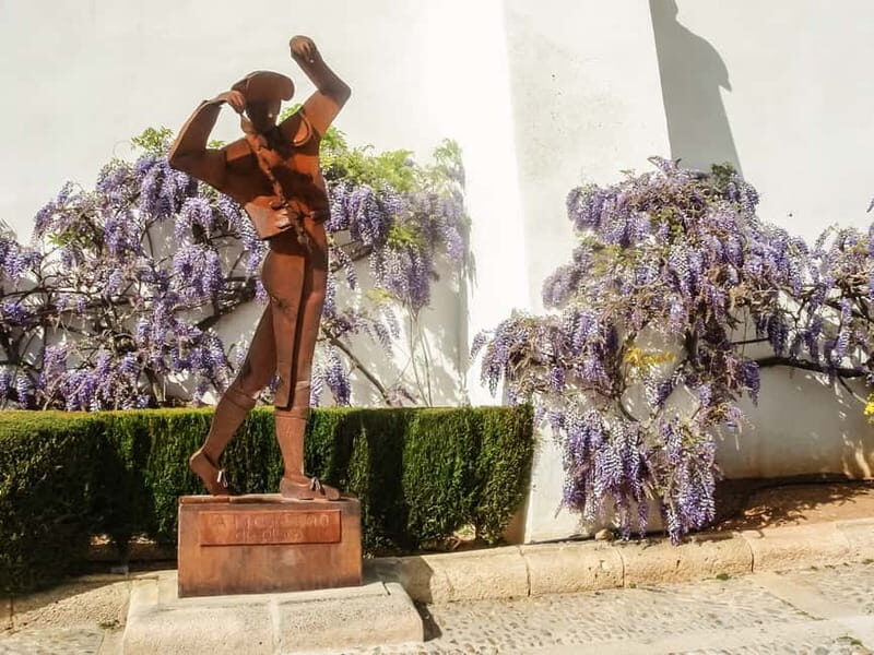 Málaga & Costa del Sol: Ronda and Setenil de las Bodegas - Good To Know