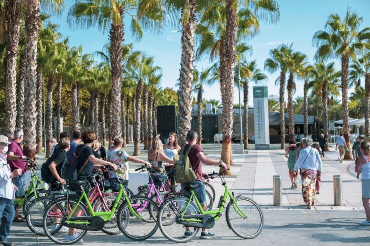 Malaga: E-Bike Sightseeing Tour - Activity Details