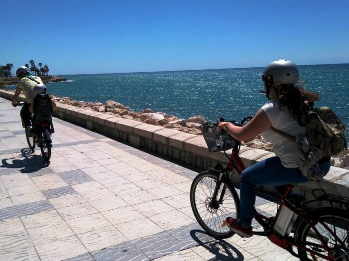 Málaga E-Bike Tour With Full Day Rental - E-Bike Rental Details and Specifications