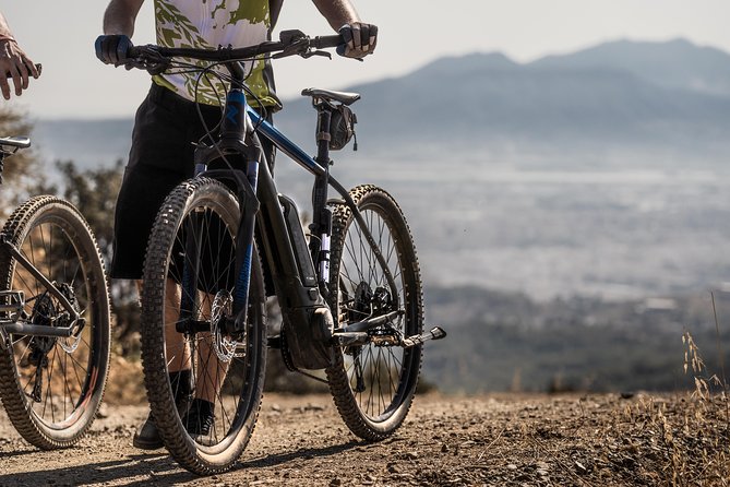 Malaga E-MTB Tour: Botanical Garden, Natural Park and Port of Malaga - Traveler Photos