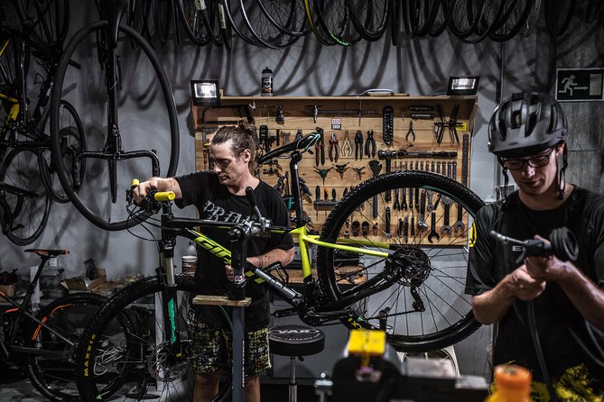 Malaga E-MTB Tour: Botanical Garden, Natural Park and Port of Malaga - Botanical Garden Visit