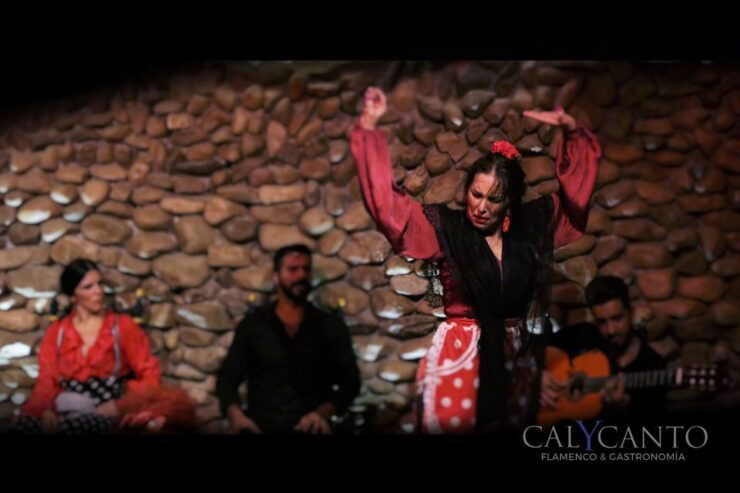 Malaga: El Gallo Ronco Flamenco Show Admission Ticket - Experience