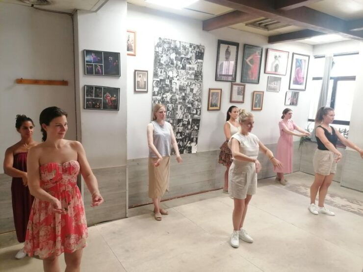Málaga: Flamenco Class Experience - Experience Details