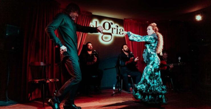 Málaga: Flamenco Show Alegría - Ticket Details and Booking Information