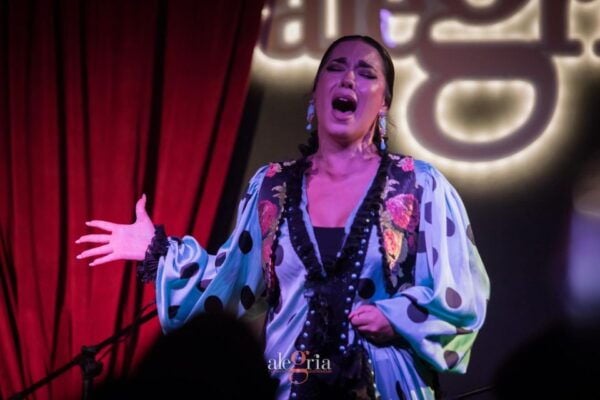 Málaga: Flamenco Show Alegría - Directions