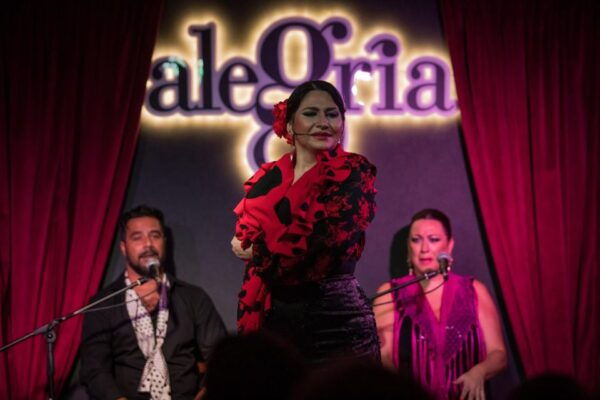 Málaga: Flamenco Show Alegría - The Sum Up