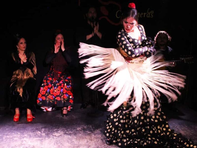 Malaga Gastronomic and Cultural Tour: Tapas, Wine & Flamenco - FAQ