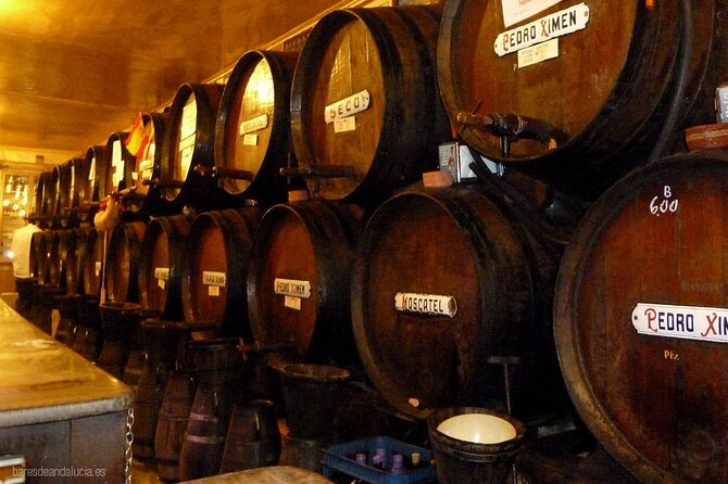 Malaga Gastronomy Tour Wines and Spanish Tapas - Overview and Features