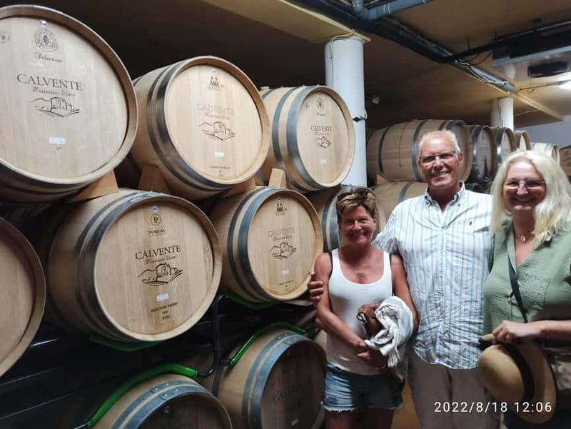 Malaga & Granada: Wine Tasting and Tapas with Resort Pickup - Malaga & Granada: Wine Tasting and Tapas with Resort Pickup — The Ultimate Flavor Journey in Andalusia