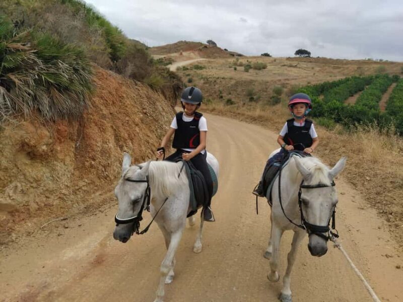 Malaga  Guadalhorce Valley: Horseback Riding Tour with Local Guide - Authentic Experiences Based on Real Reviewer Insights