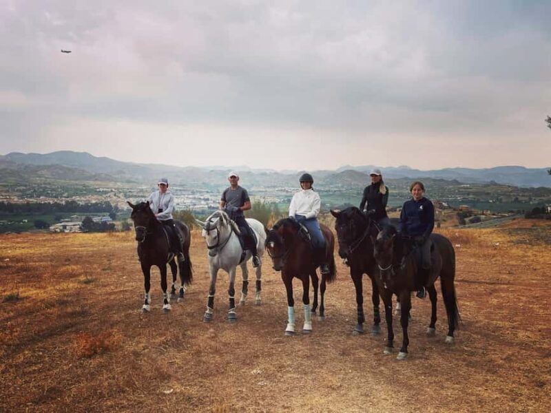 Malaga  Guadalhorce Valley: Horseback Riding Tour with Local Guide - Final Thoughts: Is It Worth It?