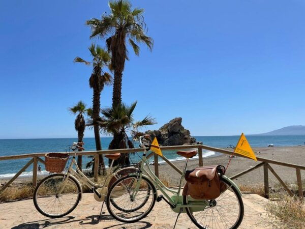 Malaga: Guided Bike Tour - Additional Directions