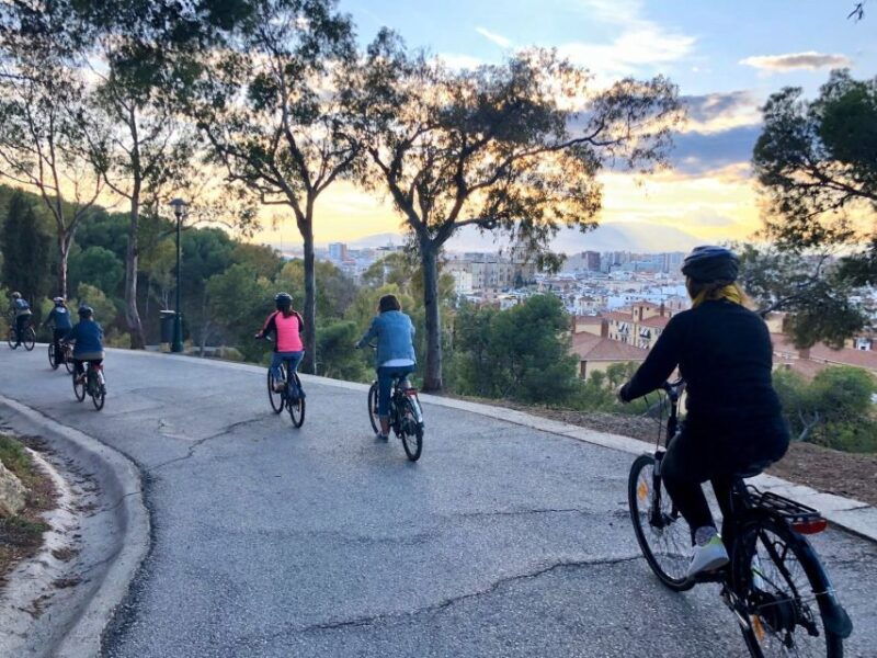 Malaga: Guided E-Bike Tour - Good To Know