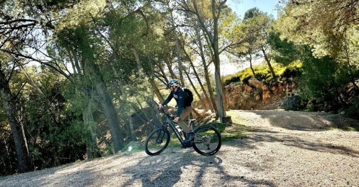 Málaga: Guided Tour With Electric Bike El Chorro - Tour Details
