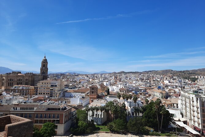 Malaga Half-Day Walking City Tour With Private Expert Guide - Expert Guide