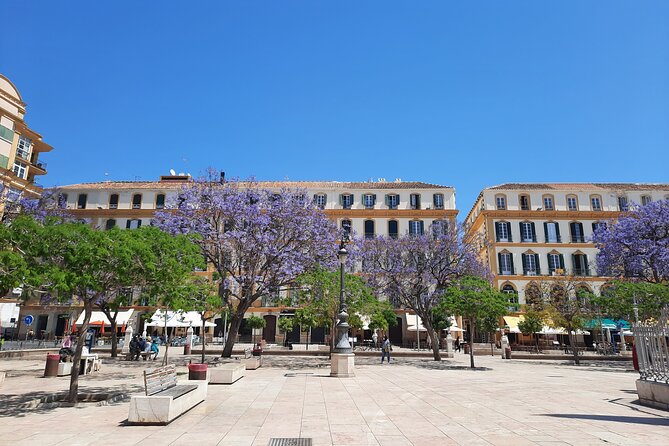 Malaga Half-Day Walking City Tour With Private Expert Guide - Booking and Pricing Details