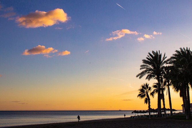 Malaga Highlights, Old Town & Viewpoints Walking Tour - Pricing and Additional Information