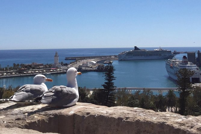 Malaga Highlights - Private Tour - Food and Drink in Malaga