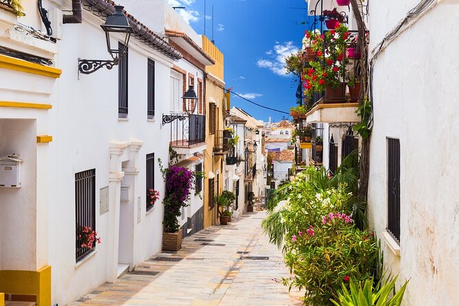 Malaga Highlights Tour, Picasso Museum & Marbella From Seville - Additional Information