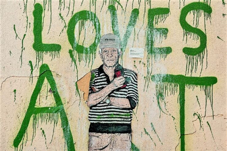 Malaga: History of Picasso Guided Walking Tour - Tour Details