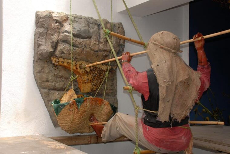 Malaga: Honey Museum and Hives Guided Tour With Tasting - Common Questions