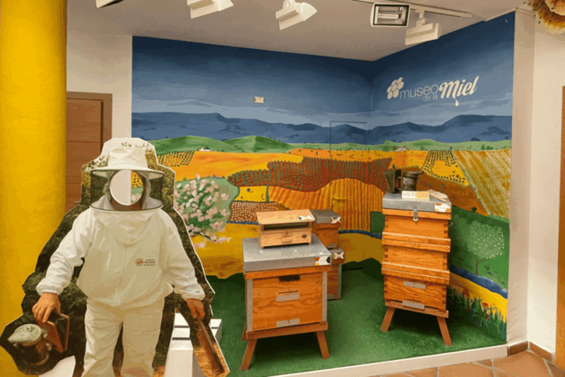 Malaga: Honey Museum Entry Ticket - Good To Know