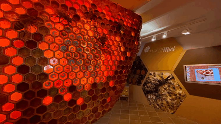 Malaga: Honey Museum Entry Ticket - Visitor Information