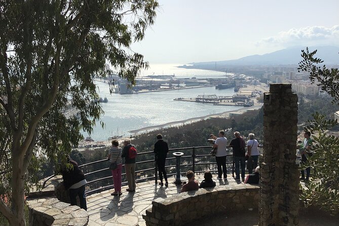 Malaga Like a Local: Customized Private Tour - Overview of the Tour