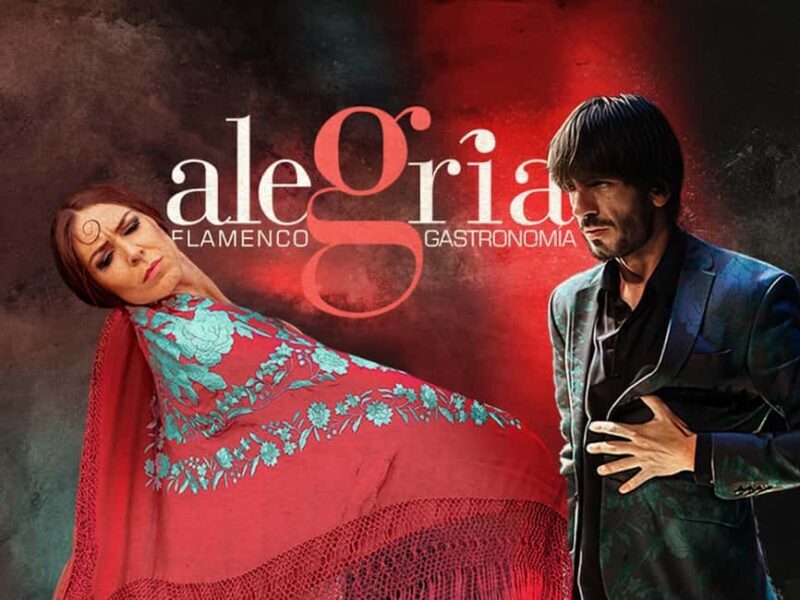 Málaga: Live Flamenco Show at Flamenco Alegría - Good To Know