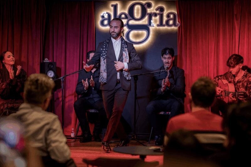 Málaga: Live Flamenco Show at Flamenco Alegría - The Overview of the Flamenco Alegría Experience