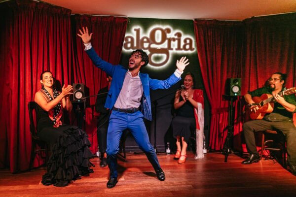 Málaga: Live Flamenco Show at Flamenco Alegría - Location and Directions