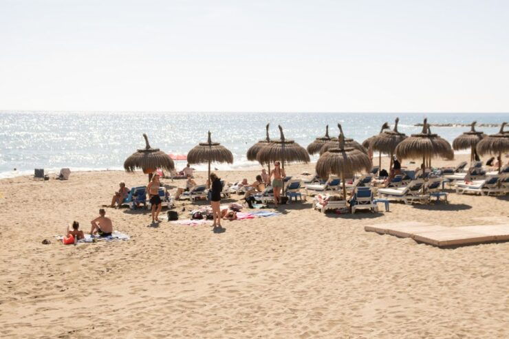 Malaga: Marbella and Puerto Banus Private Customizable Tour - Private Group Experience and Transportation
