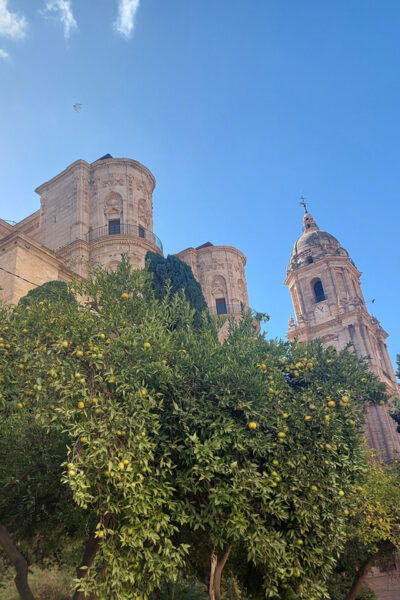 Málaga: Private Guided Walking Tour in the Historic Center - Contact and Additional Information