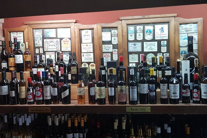 Malaga private Shore Excursion: Malaga Highlights & Mijas White Washed Village - A Closer Look at the Itinerary