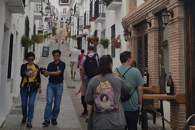 Malaga private Shore Excursion: Malaga Highlights & Mijas White Washed Village - Is This Tour Right for You?