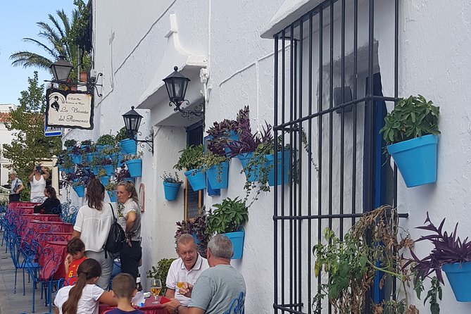 Malaga Private Shore Excursion: Malaga Highlights & Mijas White Washed Village - Tour Overview