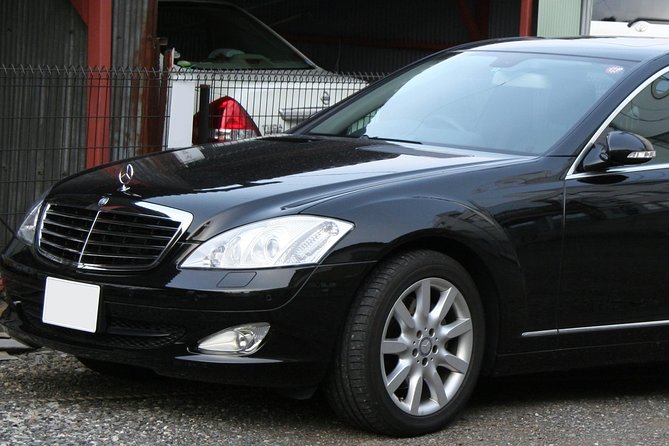 Malaga: Private Transfer in or OUT in Upscale Vehicle With Professional Driver - Pricing and Guarantee