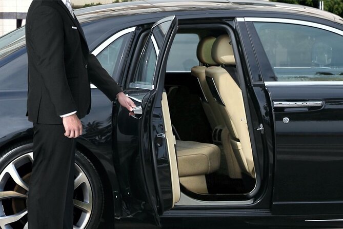 Malaga: Private Transfer in or OUT in Upscale Vehicle With Professional Driver - Date and Travelers