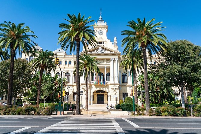 Malaga Private Walking Tour With a Professional Guide - Customization Options for the Tour