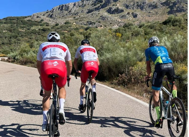 Málaga: Road Bike Tour with Guide and Bike Rental - Málaga: Road Bike Tour with Guide and Bike Rental – An In-Depth Review