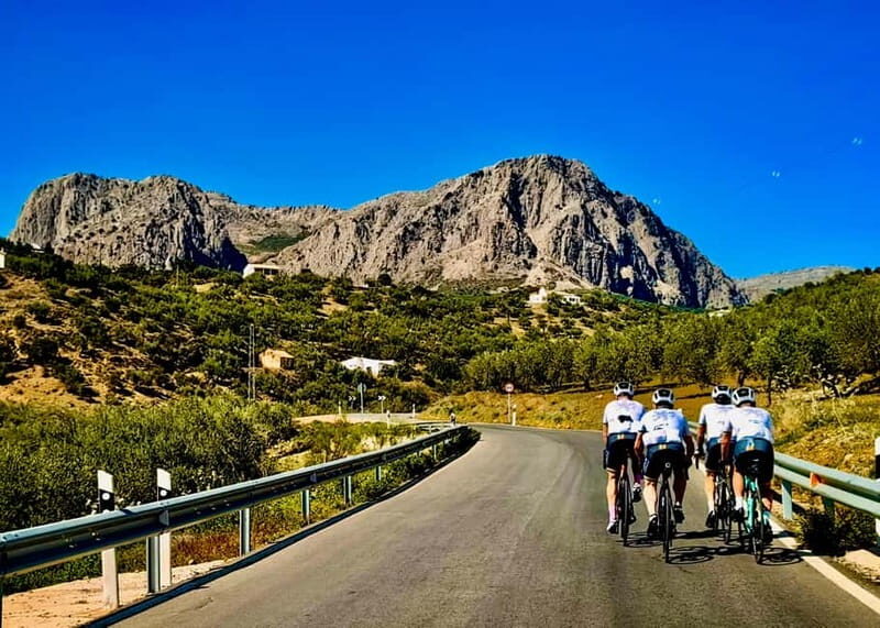 Málaga: Road Bike Tour with Guide and Bike Rental - What Makes the Bikes and Equipment Special?