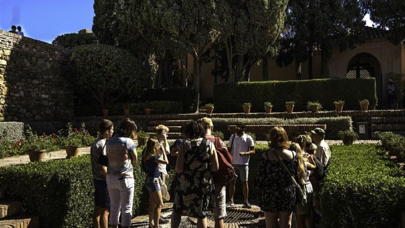 Malaga Roman Theatre and Alcazaba tour - What the guides add