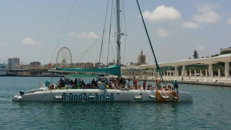 Malaga: Sailing Catamaran With Swimming and Paella Lunch - Experience Details