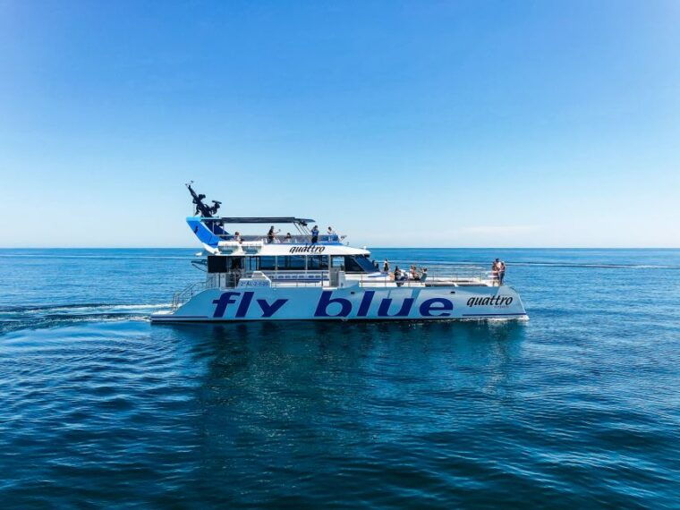 Malaga: Scenic Catamaran Cruise - Customer Reviews and Feedback